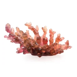 Vessière Cristaux Coupes Cristal|Coupe mm rouge aurore mer de corail daum