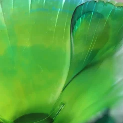 Vessière Cristaux Coupes Cristal|Coupe vert ginkgo daum