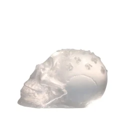 Vessière Cristaux Décoration|Éditions D’Art Cristal|Crâne de cristal – loïc ortega