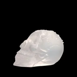 Vessière Cristaux Décoration|Éditions D’Art Cristal|Crâne de cristal – loïc ortega