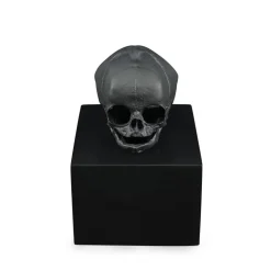 Vessière Cristaux Sculptures Cristal|Sculptures Et Figurines|Crâne eternal Memory Damien Hirst & Lalique 2017 cire perdue