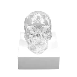 Vessière Cristaux Sculptures Et Figurines|Sculptures Cristal|Crâne eternal Sleep Damien Hirst & Lalique 2017 cire perdue