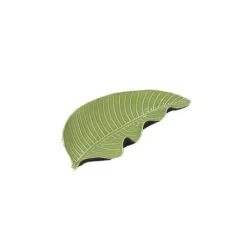 Vessière Cristaux Lunéville|Feuille pothos anis
