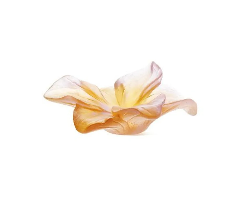 Vessière Cristaux Coupelles Cristal|Fleurs Cristal|Fleur ambre amaryllis daum