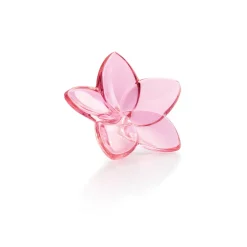 Vessière Cristaux Fleurs Cristal|Décoration|Fleur cristal the bloom baccarat