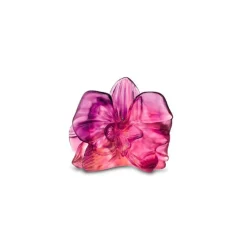 Vessière Cristaux Sulfures, Presse-Papiers Cristal|Fleurs Cristal|Fleur décorative orchidée daum