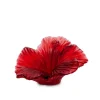 Vessière Cristaux Fleurs Cristal|Sulfures, Presse-Papiers Cristal|Fleur hibiscus daum