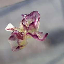 Vessière Cristaux Fleurs Cristal|Fleur violette iris daum