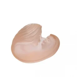 Vessière Cristaux Editions D’Art|Éditions D’Art Cristal|Maternity daum decelles jon