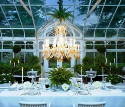 Vessière Cristaux Coupes, Coupelles Et Photophores|Coupes Cristal|Mille nuits bonbonnière haute baccarat