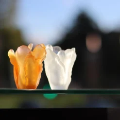 Vessière Cristaux Vases Cristal Couleur|Vases|Mini vase tulipe daum