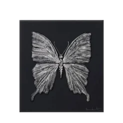 Vessière Cristaux Sculptures Et Figurines|Sculptures Cristal|Papillon eternal Beauty Damien Hirst & Lalique 2015