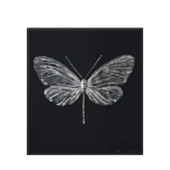 Vessière Cristaux Sculptures Et Figurines|Sculptures Cristal|Papillon eternal Hope Damien Hirst & Lalique 2015