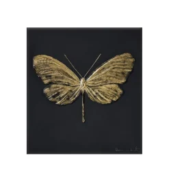 Vessière Cristaux Sculptures Et Figurines|Sculptures Cristal|Papillon eternal Hope Damien Hirst & Lalique 2015