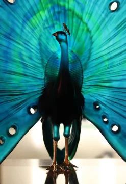 Vessière Cristaux Editions D’Art|Bestiaire|Parade du paon daum par madeleine van der knoop