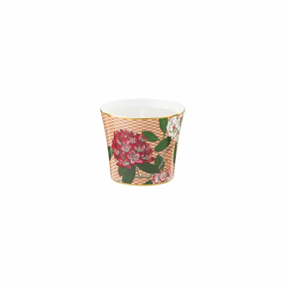 Vessière Cristaux Photophore & Bougie|Pot à bougie porcelaine 8 cm Rhododendron Trésor Raynaud