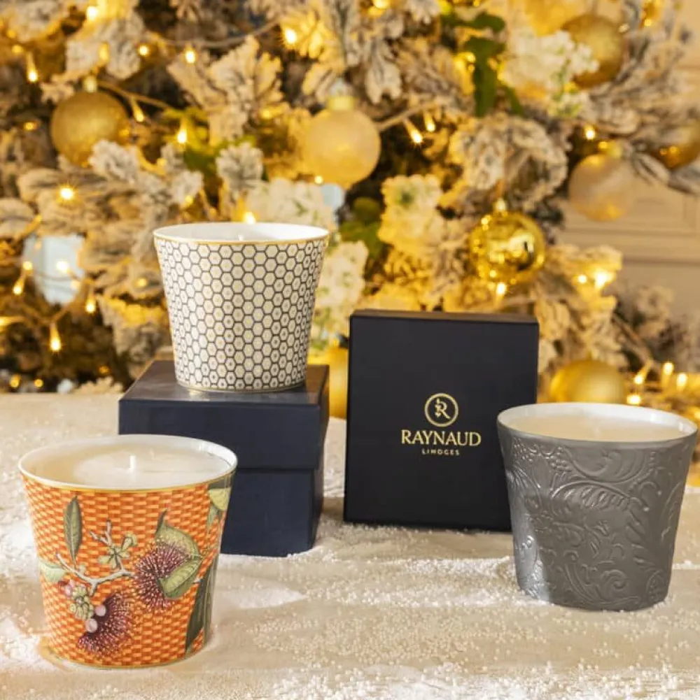 Vessière Cristaux Photophore & Bougie|Pot à bougie porcelaine 8 cm Rhododendron Trésor Raynaud