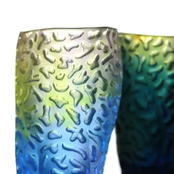Vessière Cristaux Vases|Vases Cristal Couleur|Vase coraux pm daum