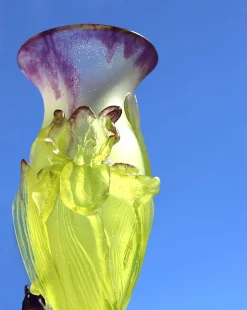 Vessière Cristaux Vases|Vases Cristal Couleur|Vase iris mm daum