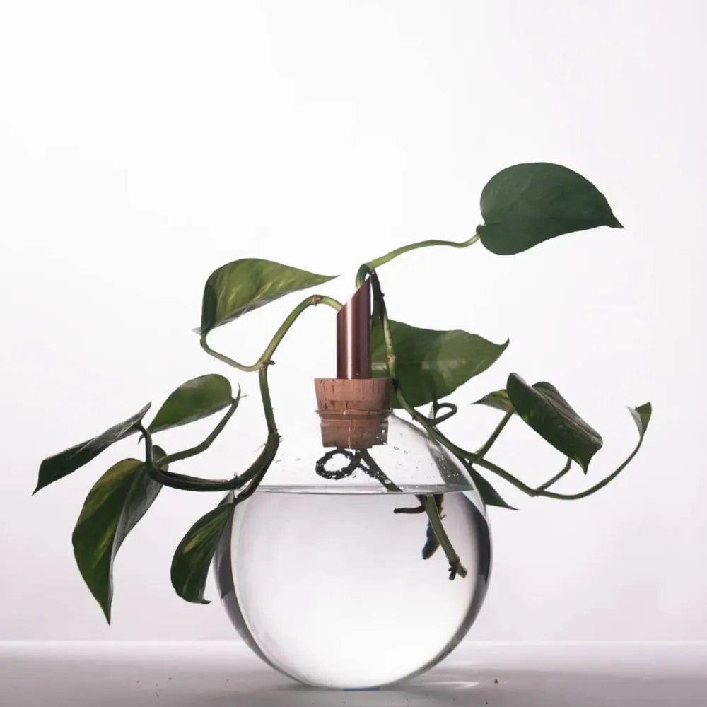 Vessière Cristaux Vases|Vases Cristal Clair|Vase verre scandinavia