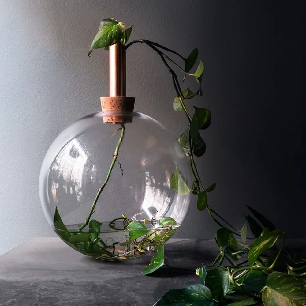 Vessière Cristaux Vases|Vases Cristal Clair|Vase verre scandinavia